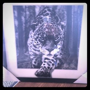 Snow leopard print in a frame